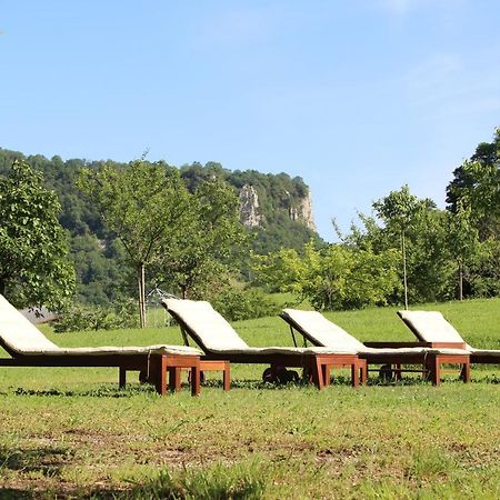 Domaine De Bellevue Gite Du Mont Poupet Marnoz エクステリア 写真